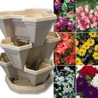 Stack'n'Plant System + 24 Bedding Plants + FREE Compost