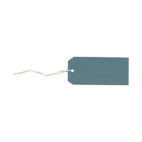 Strung Tags (120mm x 60mm) Blue (1 x Pack of 1000)