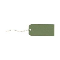 Strung Tags (120mm x 60mm) Green (1 x Pack of 1000)