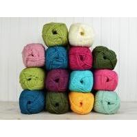 Stylecraft Lily Pond Blanket Life DK CAL Colour Pack