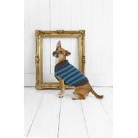 striped dog coat in stylecraft life chunky 9179