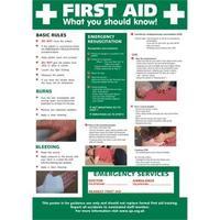 Stewart Superior HS101 Screw Laminated Poster - First Aid-What You