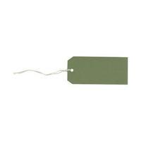 Strung Tags 120mm x 60mm Green 1 x Pack of 1000 TG8080