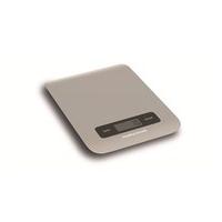 Stainless Steel Digital Touchscreen Scales