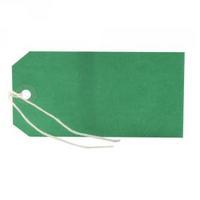 Strung Tag 120x60mm Green Pack of 1000 KF01624