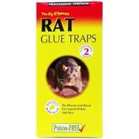 stv pest control rat glue traps