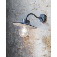 St Ives Swan Neck Wall Light in Carcoal (Mains) by Garden Trading