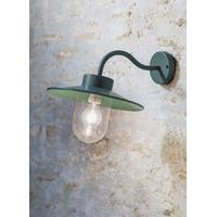 St Ives Swan Neck Wall Light in Thyme (Mains) by Garden Trading
