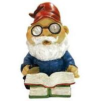 Streetwize Solar Reading Gnome