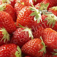 Strawberry \'Albion\' runner - p...