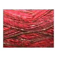 Stylecraft Carnival Knitting Yarn Chunky 2486 Trinidad