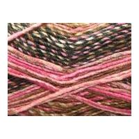 Stylecraft Carnival Knitting Yarn Chunky 2487 Notting Hill