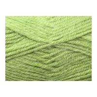 stylecraft alpaca knitting yarn chunky 6024 sage