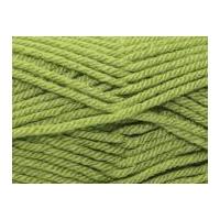 Stylecraft Special Knitting Yarn Chunky 1065 Meadow