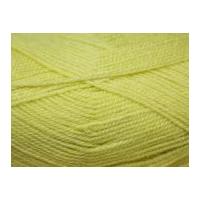 Stylecraft Life Knitting Yarn DK 2356 Zing