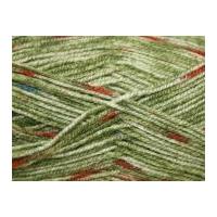 Stylecraft Life Prints Knitting Yarn DK 2398 Pampas