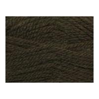 Stylecraft Life Knitting Yarn Chunky 2304 Brown