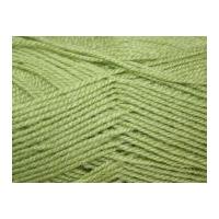 Stylecraft Life Knitting Yarn DK 2311 Fern