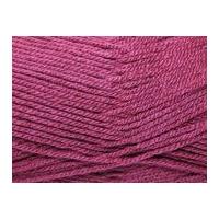 Stylecraft Special Knitting Yarn DK 1061 Plum