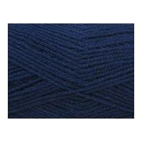 Stylecraft Wondersoft Baby Knitting Yarn DK 1332 Midnight