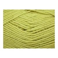 Stylecraft Luxury Wool Rich Knitting Yarn DK 2467 Citrus