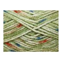 Stylecraft Life Prints Knitting Yarn Chunky 2398 Pampas