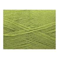 Stylecraft Special Knitting Yarn 4 Ply 1065 Meadow