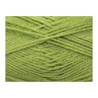 stylecraft special knitting yarn dk 1065 meadow