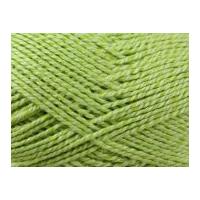 Stylecraft Malabar Knitting Yarn DK 2524 Lime