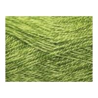 stylecraft extra special knitting yarn dk 1124 greengage