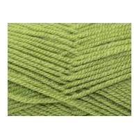 Stylecraft Special Knitting Yarn Aran 1065 Meadow