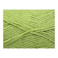 stylecraft life knitting yarn aran 2418 fern