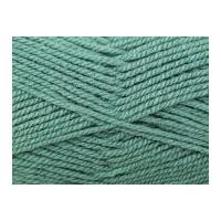 Stylecraft Special Knitting Yarn Chunky 1725 Sage