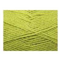 stylecraft special knitting yarn chunky 1822 pistachio