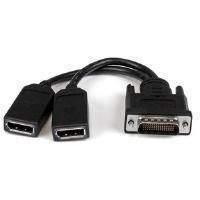 Startech.com (8 Inch) Lfh 59 Male To Dual Female Displayport Dms 59 Cable