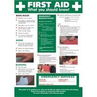 Stewart Superior HS101 Screw Laminated Poster - First Aid-What You Should Know