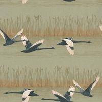 St Vitus Wallpapers Cygnus, P102...