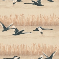 St Vitus Wallpapers Cygnus, P102...