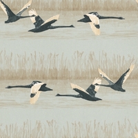 St Vitus Wallpapers Cygnus, P102...