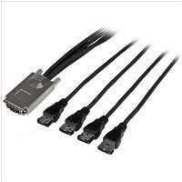 StarTech.com (2m) Serial Attached SCSI SAS Cable - SFF-8470 to 4x eSATA