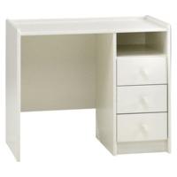 Steens for Kids Desk