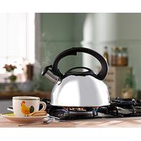 Stovetop Kettle