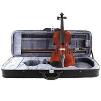 Stagg VN-4/4 HG Violin Case