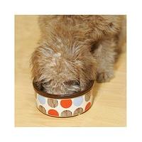 Stoneware Multi Spot Pet Dish 7\