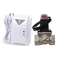 Standalone LPG Natural Gas Leak Detector Alarm With DN20 Electromagnetic Solenoid Valve for Gas Leakage Auto Shut Off for Home Security