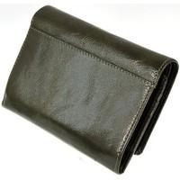 stefania 2668 mens purse wallet in green