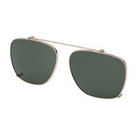 Sting Sunglasses AGST066 Clip On 0300