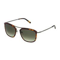 Sting Sunglasses SST074 0E80