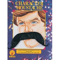 Stick On Character Moustache Assortment