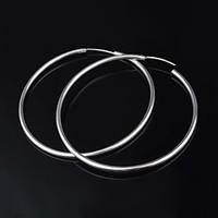 stud earrings hoop earrings titanium alloy silver jewelry 2pcs